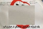 نظر لیندا کیانی درباره خیار از نوع شور!+عکش