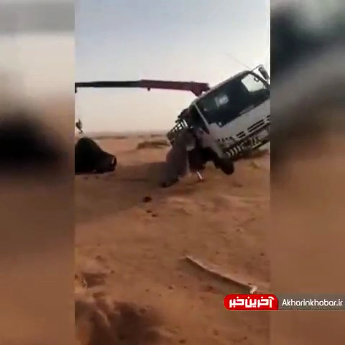 جرثقیلی که زورش به شتر نرسید!+ویدئو