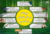 حیوانات در حال انقراض +عکس