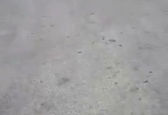 لحظه هولناک دستگیری یک گروگانگیر در شیراز +فیلم