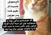 گربه فروشی مونا فرجاد در فضای مجازی!؟ / شغل جدید خانم بازیگر! +عکس