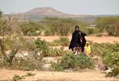 میزان افزایش خشونت در زنان به علت تغییرات اقلیمی !
