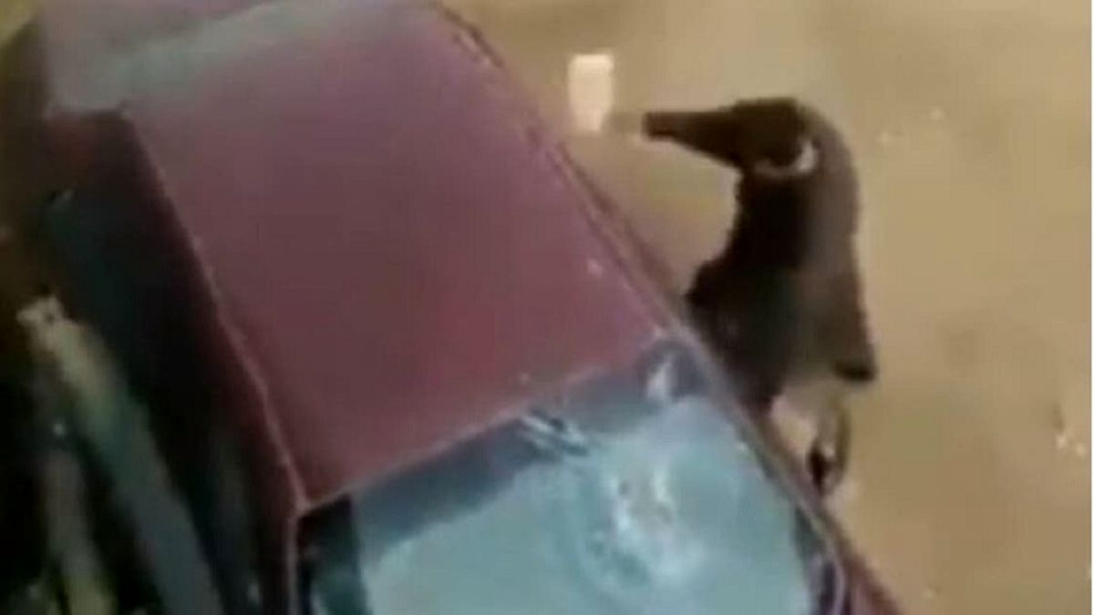 تلافی خطرناک یک مرد بعد از امتناع پزشک از معاینه همسرش!+ویدئو