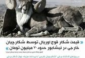قیمت نجومی شکار قوچ اوریال در خراسان رضوی +عکس