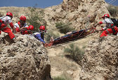 گیاهان دارویی جان مرد نی ریزی را گرفت