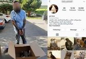 قاچاقچی مجازی حیات وحش به دام افتاد! عکس