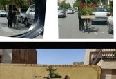 کار قشنگ شهرداری اصفهان! +عکس