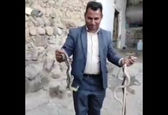 لحظه وحشتناک شکار مار سمی توسط مرد شجاع+ویدئو