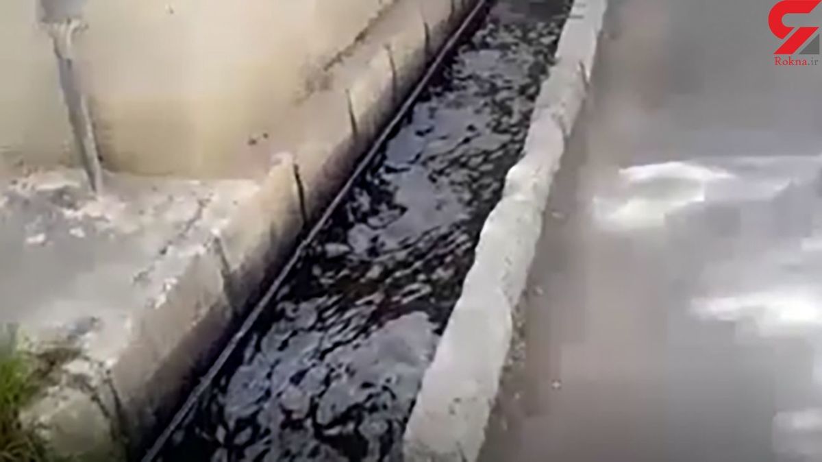 راه افتادن خونابه در جوی های دماوند همه را به وحشت انداخت ! 