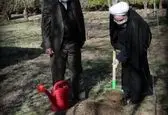 روحانی یک نهال سیب در باغ گیاه‌شناسی کاشت +عکس