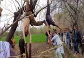 لحظه اعدام وحشتناک 2 مرد طالبان در افغانستان +فیلم و عکس 14+