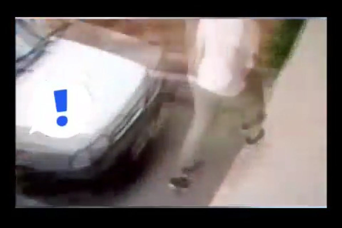 فیلم دزد خوشتیپ در شهر پرند