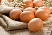 تخم‌مرغ بخوریم یا نخوریم؟