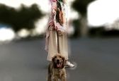 سگ گردانی ماهور الوند در خیابان +عکس 