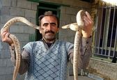 ماجرای جالب مردی که با مارهایش هم‌سفره می شود!+عکس
