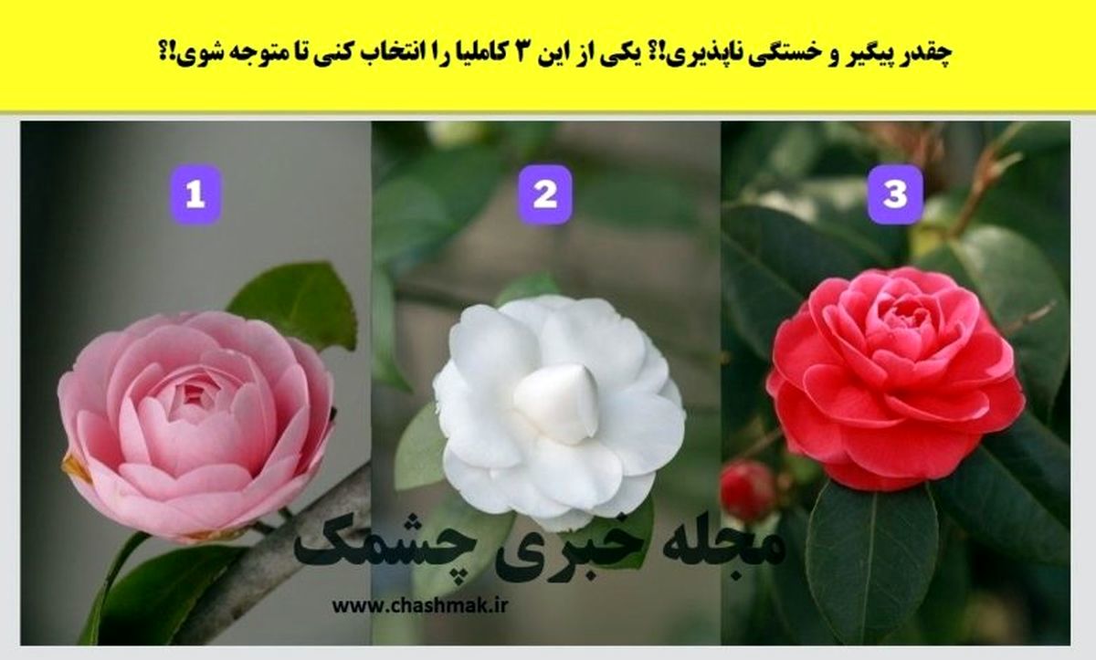 میخوای میزان علاقه پارتنرت رو نسبت به خودت بسنجی ؟ | ببین عشق چقدر دوست داره  