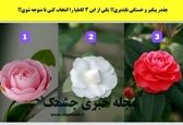 میخوای میزان علاقه پارتنرت رو نسبت به خودت بسنجی ؟ | ببین عشق چقدر دوست داره  