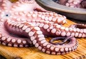 ا‌ین غذا‌ها از مرگ موش هم کشنده‌تر هستند!