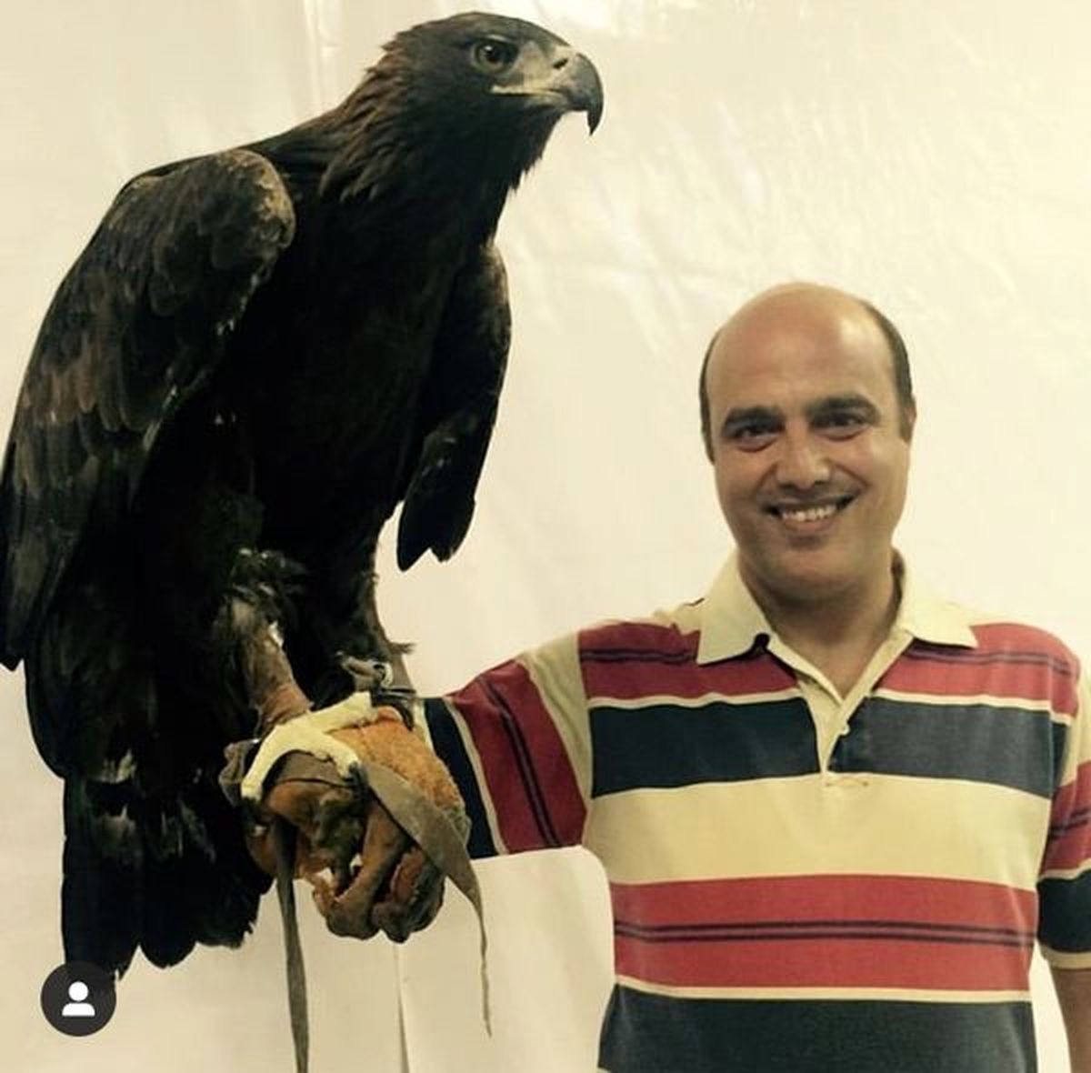 حیوان خانگی ترسناک بازیگر ایرانی +عکس