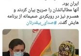 تبلیغات انتخابات همسر همتی+عکس