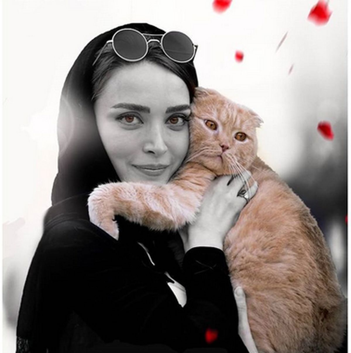سلفی بهنوش طباطبایی با گربه اش+عکس