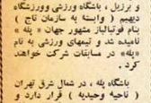 تیمی به نام «پله» در ایران +عکس