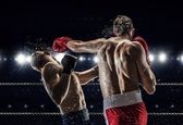 حرکات غیر اخلاقی بوکسور زخم خورده + فیلم