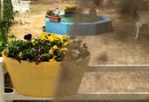 حیاط زیبای خانه لاکچری احسان علیخانی +عکس