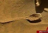 پیدا شدن قاشق بزرگ در مریخ! + عکس