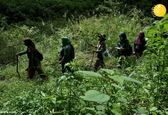 عکس جالب زنان جنگل‌بان در اندونزی