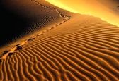 پدیده عجیبی که تا حالا ندیده اید+ویدئو