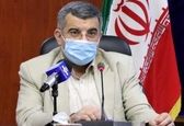 حریرچی ناقضان قرنطینه را تروریست انتحاری نامید!