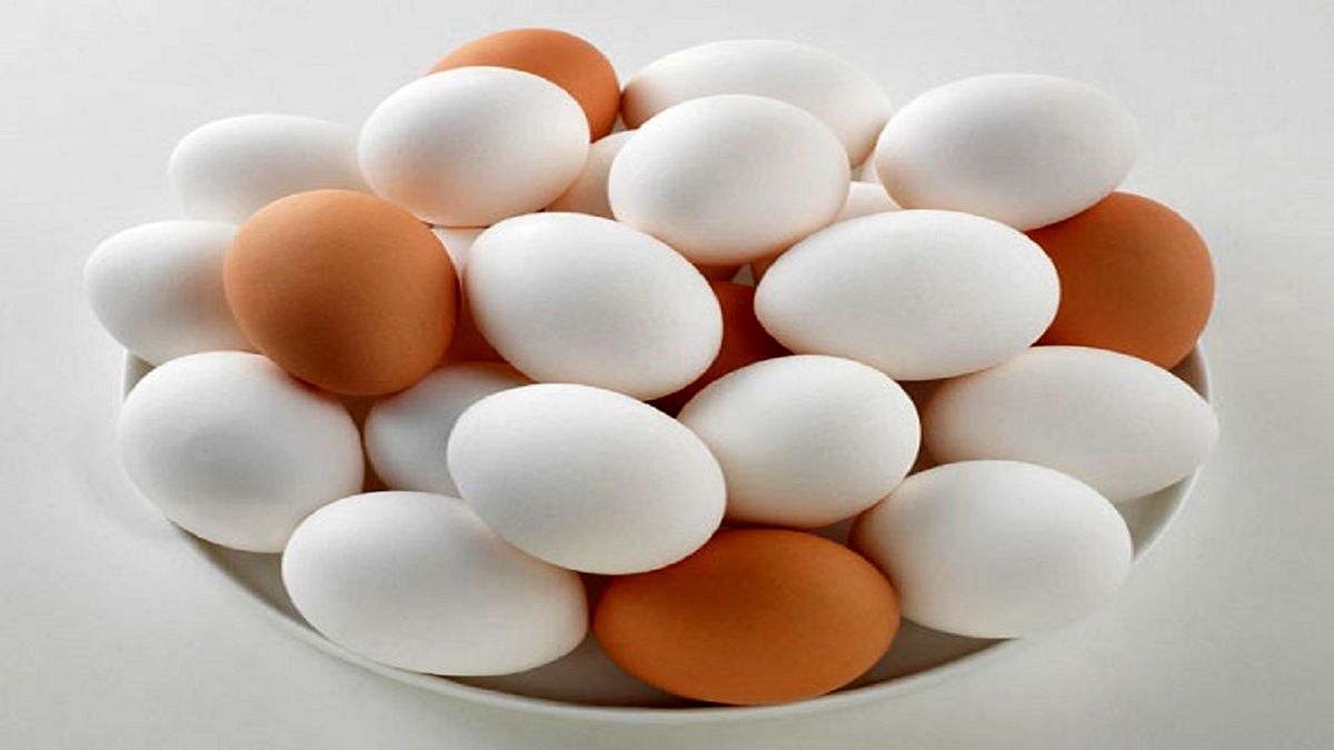 نرخ هر شانه تخم مرغ چند شد