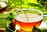 این چای گیاهی به «زهر گرگ» معروف است ! 