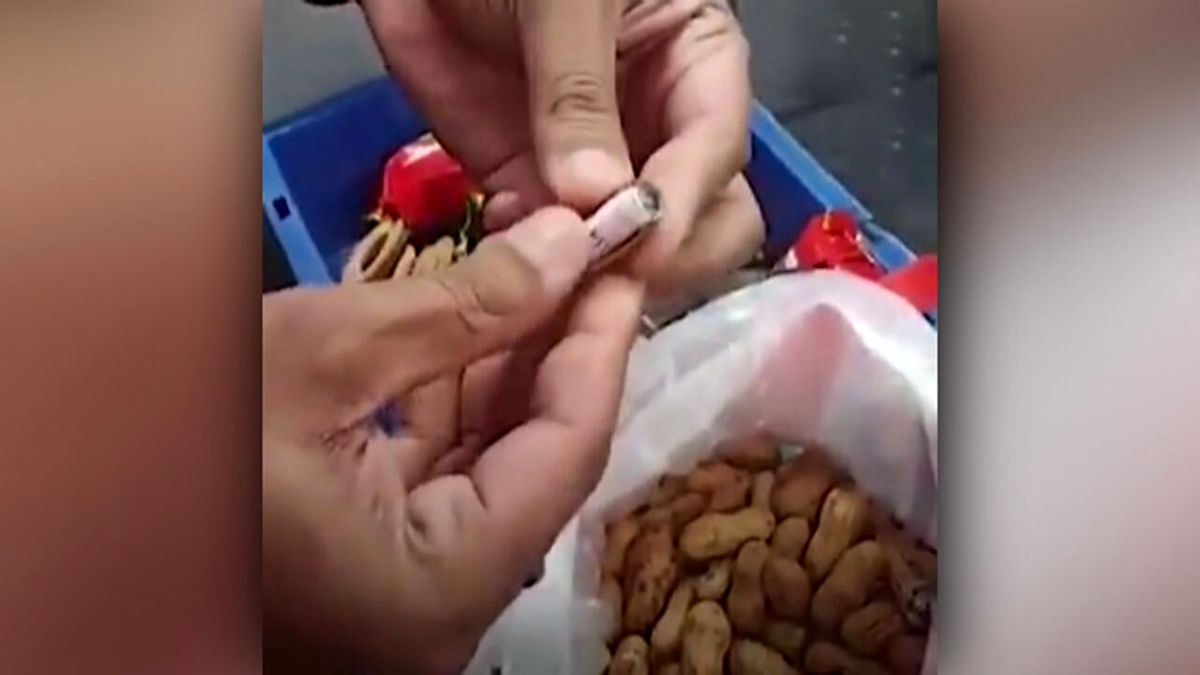 مخفی کردن دلار در خوراکی‌ها + فیلم
