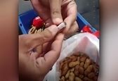 مخفی کردن دلار در خوراکی‌ها + فیلم