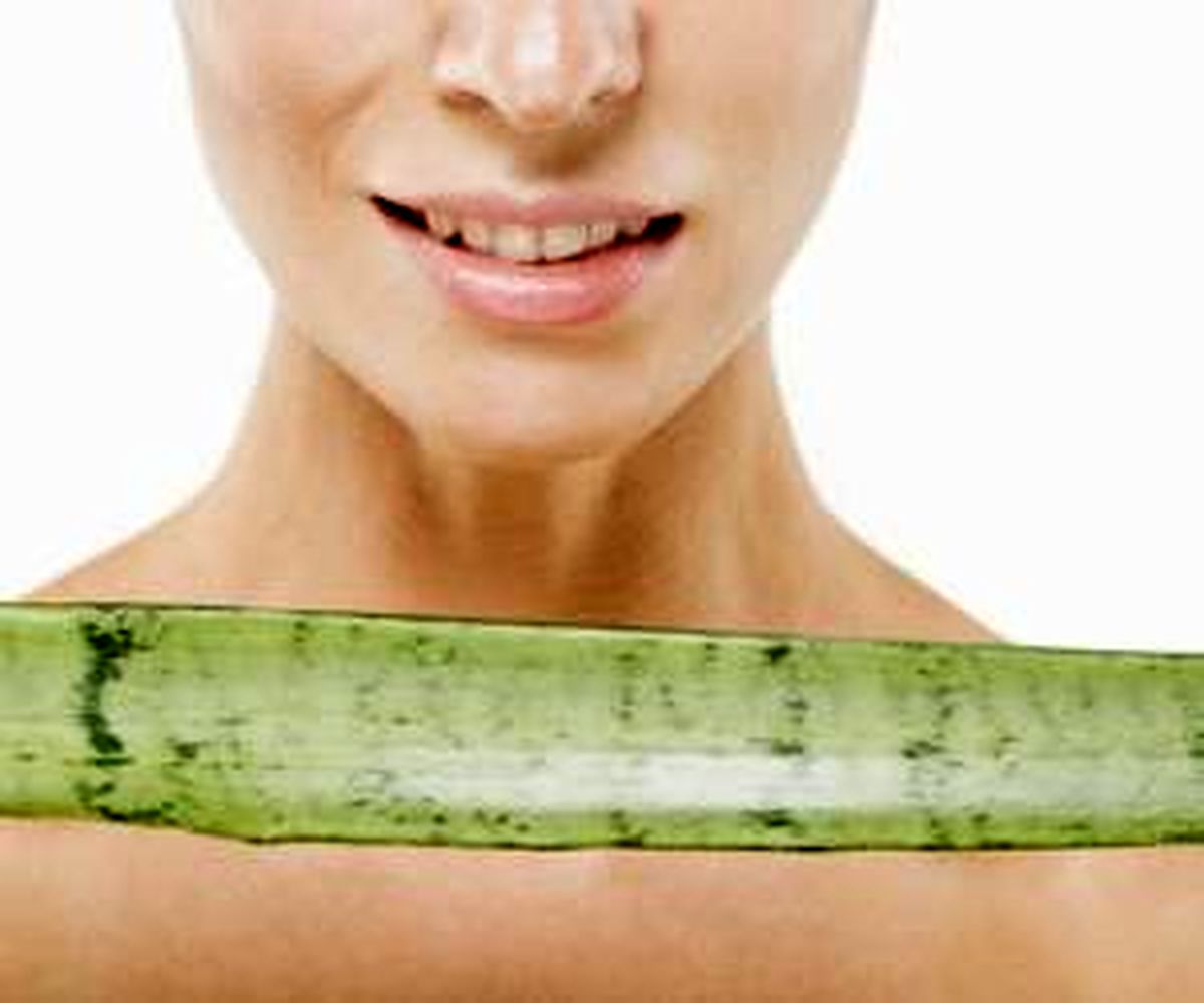 آلوئه ورا و تاثیرات خارق العاده اش برای پوست