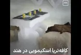 فیلم جالب از یک کافه متفاوت در هند+فیلم