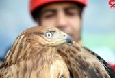 ماجرای وحشت ساکنان یک محله در مشهد + عکس 
