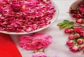 خواص درمانی گل محمدی