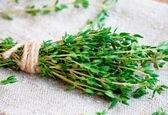خواص و فواید بی نظیر آویشن