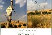کار به یاد ماندنی سوسن پرور برای چهلم ماه چهره خلیلی+عکس