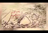 نجات جان ۲ راس آهو از مرگ توسط ماموران انتظامی +فیلم
