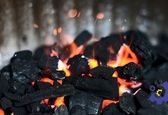 رونمایی از جدیدترین دستگاه برای تولید زغال با بیشترین سوددهی