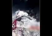  صحنه های تکاندهنده از سوزاندن بیرحمانه یک پلنگ در سردشت + فیلم 16+