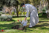 کاشت نهال میوه توسط رئیس قوه قضاییه +عکس