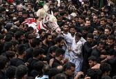 اسب سفید درجمع عزاداران حسینی +عکس