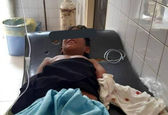 حمله تمساح به پسربچه سیستانی +عکس 
