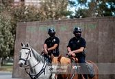  پلیس اسب سوار در محل رای گیری دنور کلرادو  +عکس