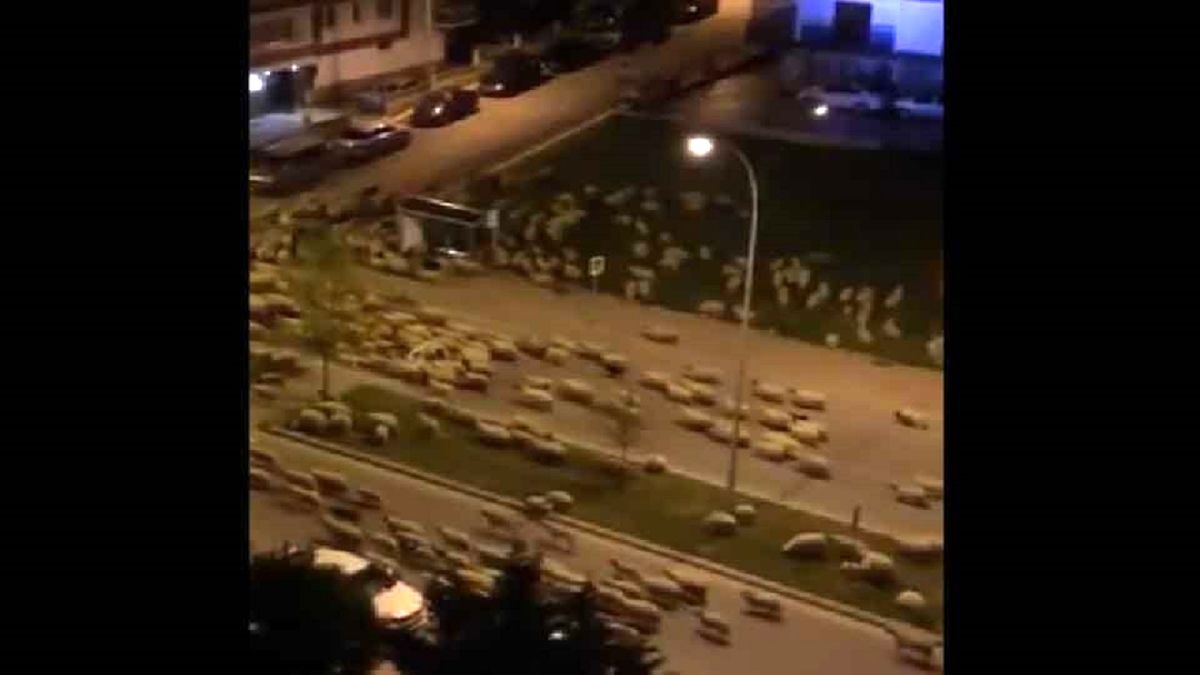 هجوم شبانه مهمانان ناخوانده به شهری در ترکیه! +عکس
